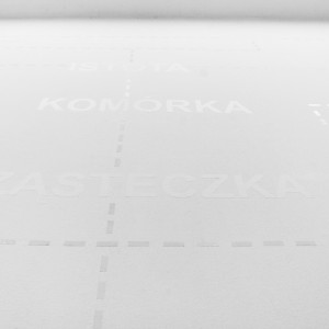 foksal_27