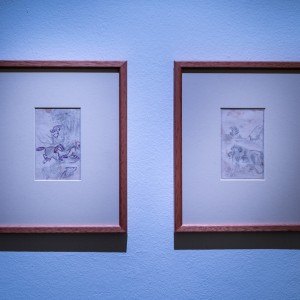 010_MARKUL_FOKSAL
