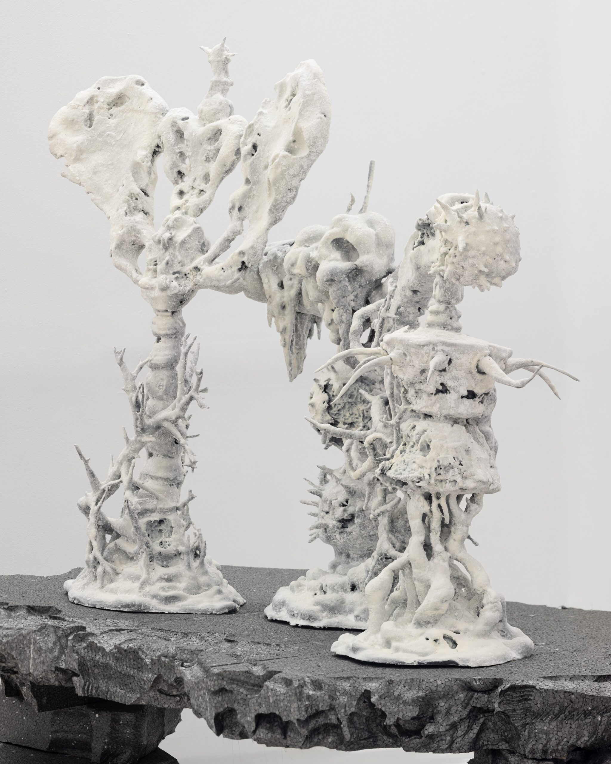 2024 11 29 CLACIUM CARBONATE Szumski Social Media 34