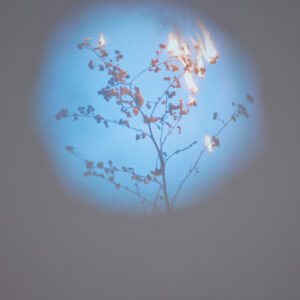 0 BGF3378 FOKSAL Mroz 1 Web