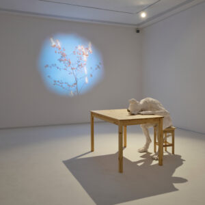 1 BGF3367 FOKSAL Mroz 2 Web