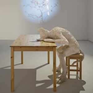 2 BGF3364 FOKSAL Mroz 1 Web