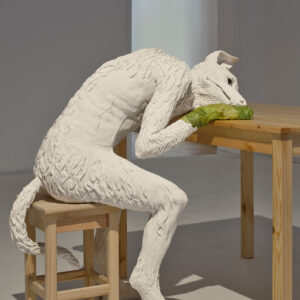 4 BGF3405 FOKSAL Mroz 1 Web