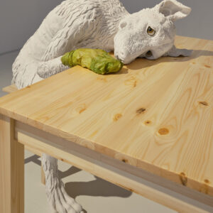 5 BGF3372 FOKSAL Mroz 1 Web