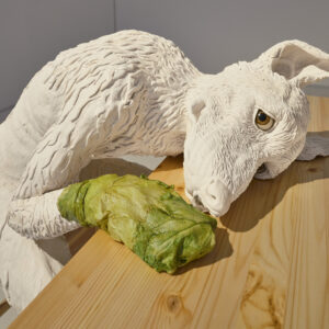 6a BGF3377 FOKSAL Mroz 1 Web