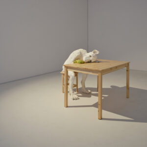 7 BGF3371 FOKSAL Mroz 1 Web